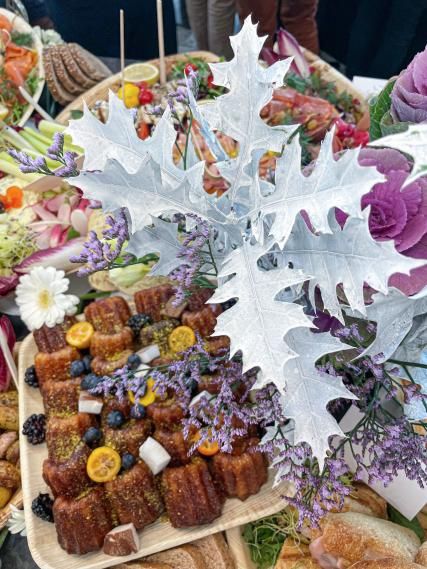 Château de Bonaventure