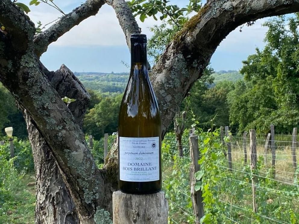 Chateau de Bonaventure - Bois Brillant Winery